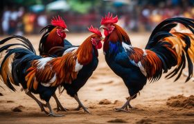 Analisis Pertandingan Sabung Ayam Thailand Terpercaya