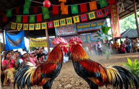 Agen Judi Sabung Ayam Terbaik