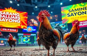 Bonus dan Promo Sabung Ayam Online